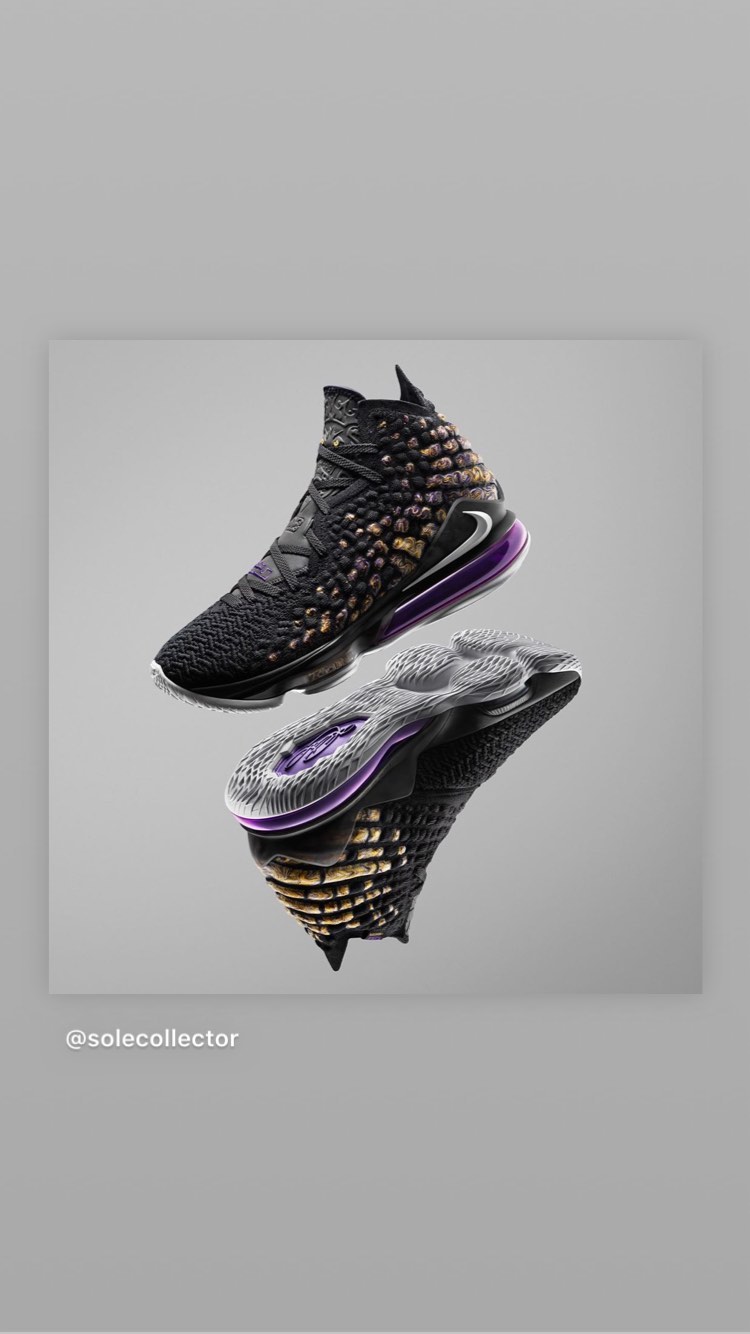 lebron james 17 future air