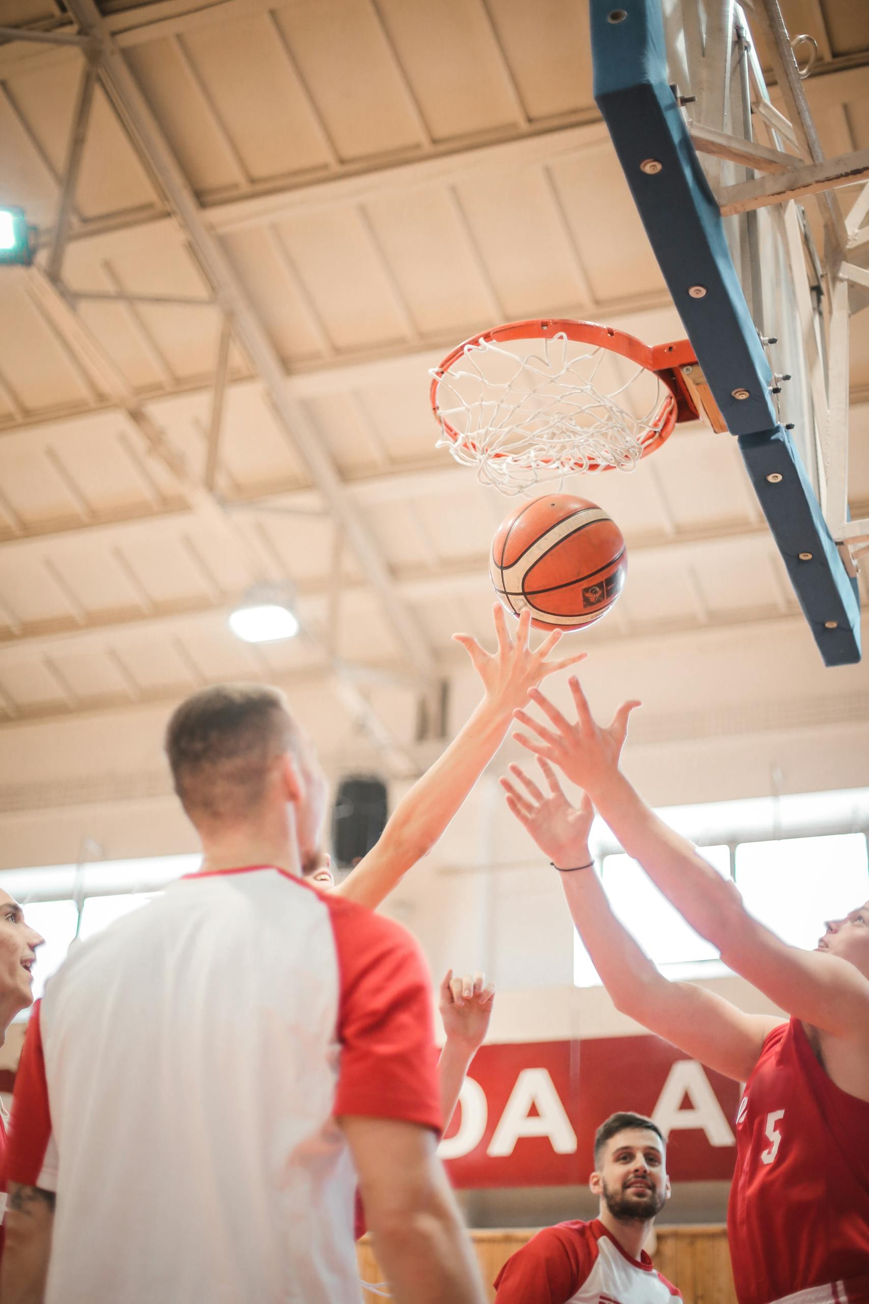 From below adult men in red and white sportswear catching ball from basket while playing basketball on sports arena in light contemporary sports club